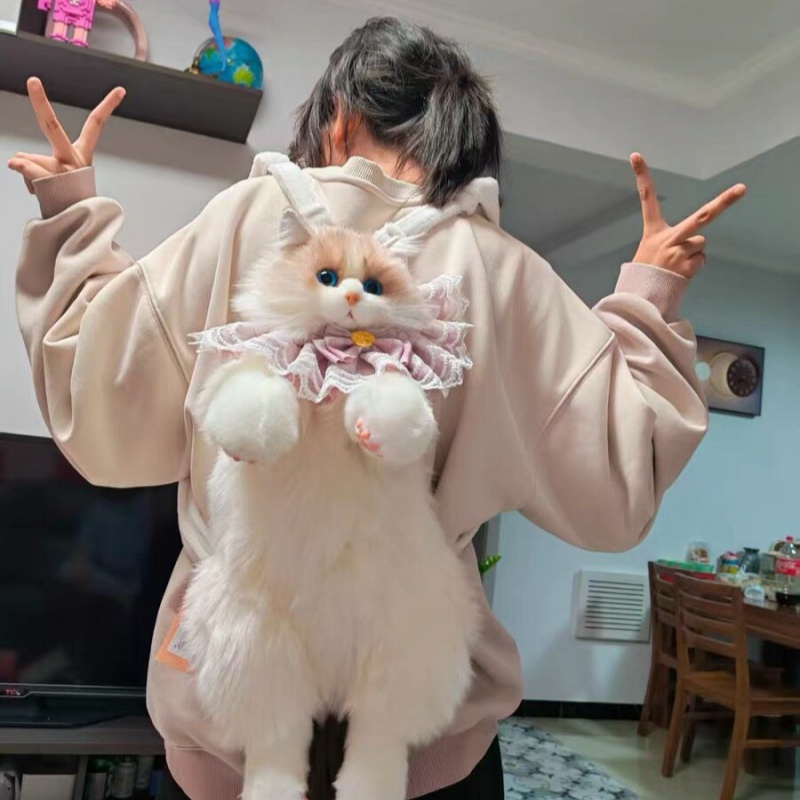 2026 New In Stock Ragdoll Cat  - Travel Accessories Ideas review and price
